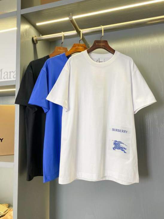 Picture of Burberry T Shirts Short _SKUBurberryS-2XLaztx955319924